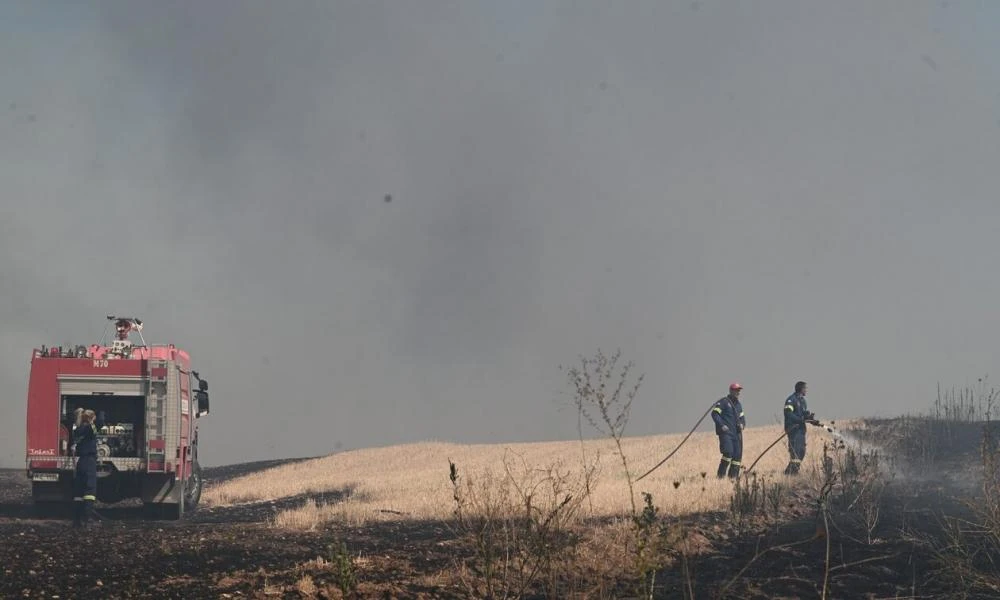 Φωτιά στην Ξάνθη: Καίγεται δασική έκταση στον δήμο Μύκης
